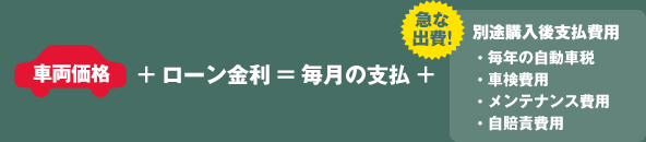 車両価格＋ローン金利＝毎月の支払＋急な出費！別途購入後支払費用[毎年の自動車税・車検費用・メンテナンス費用・自賠責費用]